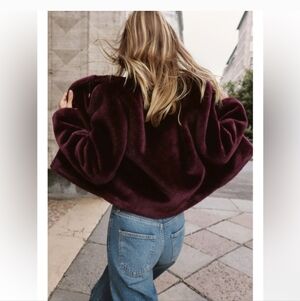 Zara Plush Maroon Teddy Jacket